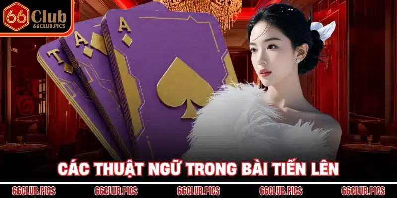 Các thuật ngữ trong bài tiến lên
