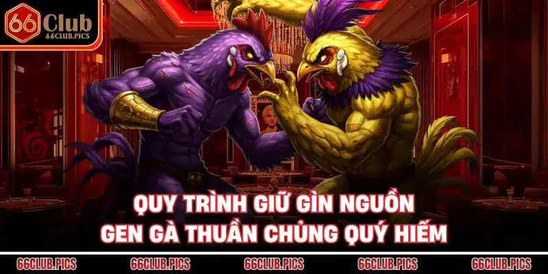 Quy trình giữ gìn nguồn gen gà thuần chủng quý hiếm